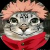 meowkuna72