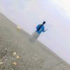 mimozam_
