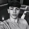 Oomatheusmartin_