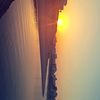 mal_0104