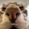 trixburneraccount