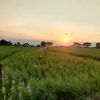 zril_031