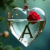 user060102638