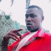 user7241400955281
