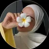 hambez13