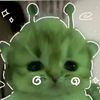 zoey24561
