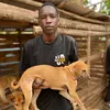 Hannington dogs shelter