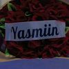 yasushaa