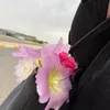 rav_.005