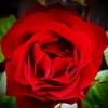 leesh0657
