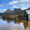 Wild Tasmania Tours