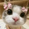 cookie4ptri_7