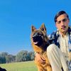 imrad.bacha