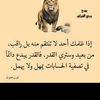 user8020056629369