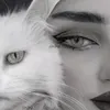 .tana19