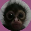 antov_140