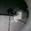 aleee>333