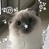._.yumeyasaki