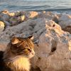ikram_2720