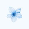 anmol_nanda063020
