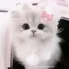 yeulamgi124