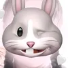 ngn.bunny.cute