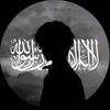 user7261480