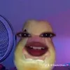 iyqana8
