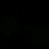 etevl...119