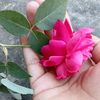 jannat90422