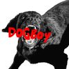 d0gb0y.band
