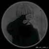 sadin138996