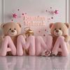 amna.ali4585