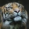 luis.rtm6