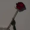 speaksmyheart