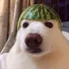 nguoiyeuemolove
