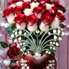 mdshaig7