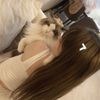 princess_trophies