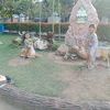 muhammad.sulton23