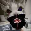 dinhquy60xd