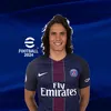 Cavani pes