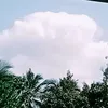 banhmi6784