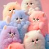 cute.cats577