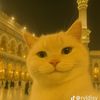 sihabbudin719