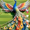 user023277524