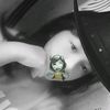 nabzz.suka.galaww1