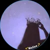meli65492