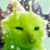 k1ttyl4ver_
