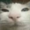 rob_luvsuu