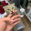 vlad_kk_0309